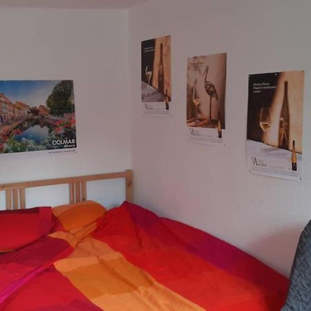 Gite De Benedicte Ancienne Douane Colmar Zewnętrze zdjęcie
