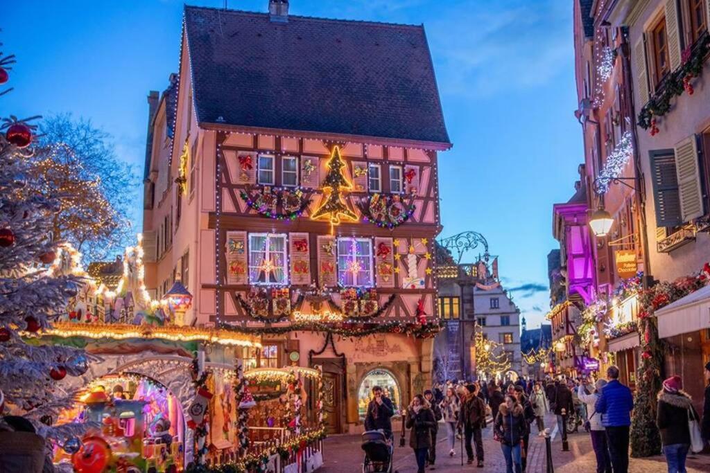 Gite De Benedicte Ancienne Douane Colmar Zewnętrze zdjęcie
