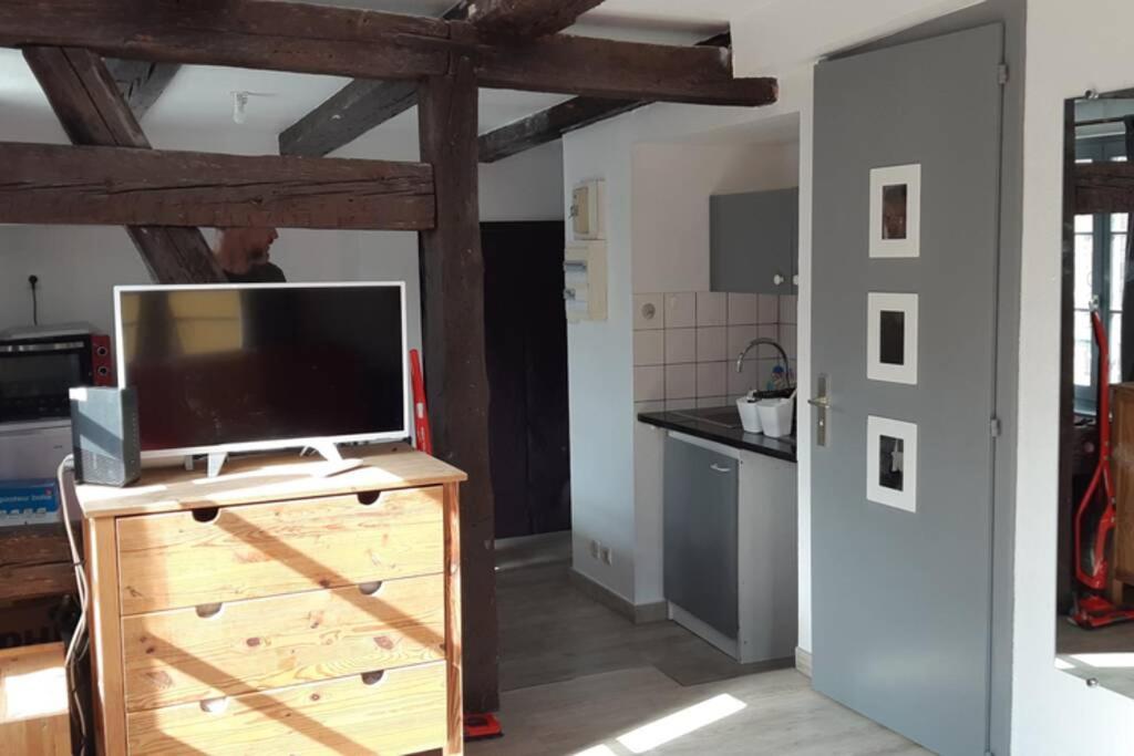 Gite De Benedicte Ancienne Douane Colmar Zewnętrze zdjęcie