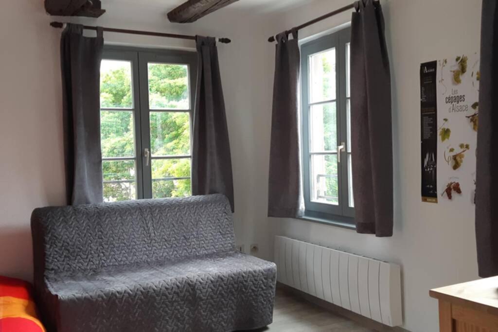 Gite De Benedicte Ancienne Douane Colmar Zewnętrze zdjęcie